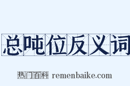 总吨位反义词是什么意思的图片